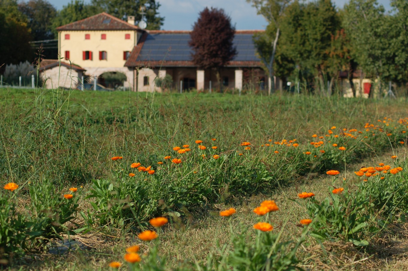 Casa Tormene Agristile6