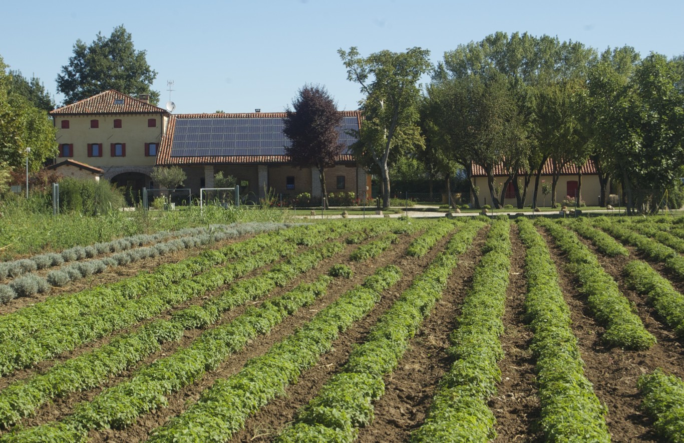 Coltivazioni Casa Tormene1