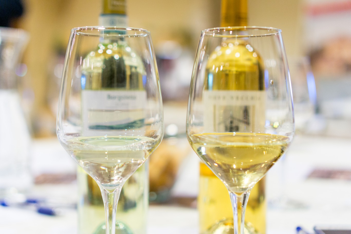 Corso Degustazione Vino Padova7