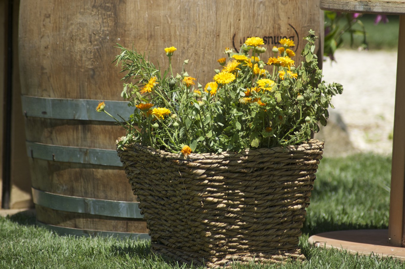 Matrimonio Country Chic2