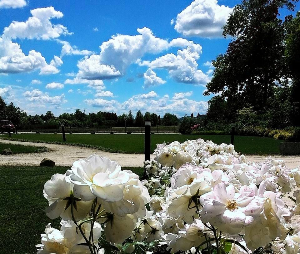 Sposarsi Tra I Fiori