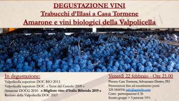 Amarone DOCG e grandi vini della Valpolicella a Casa Tormene