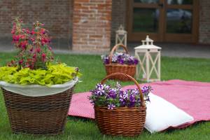 Picnic Wedding Blog1
