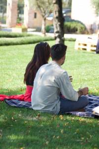 Picnic Wedding Blog11