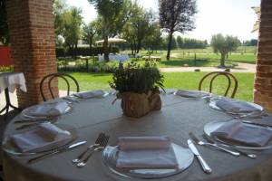Picnic Wedding Blog15