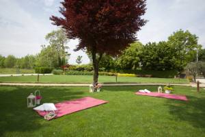 Picnic Wedding Blog3