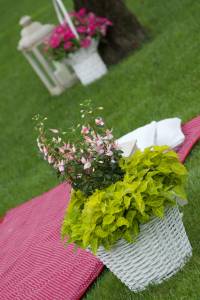 Picnic Wedding Blog5