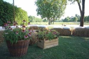 Picnic Wedding Blog6