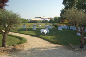 Picnic Wedding Blog8