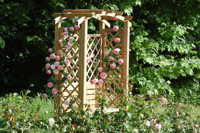 Rose A Padova Casa Tormene 0438