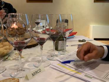 Curiosando nel mondo del vino