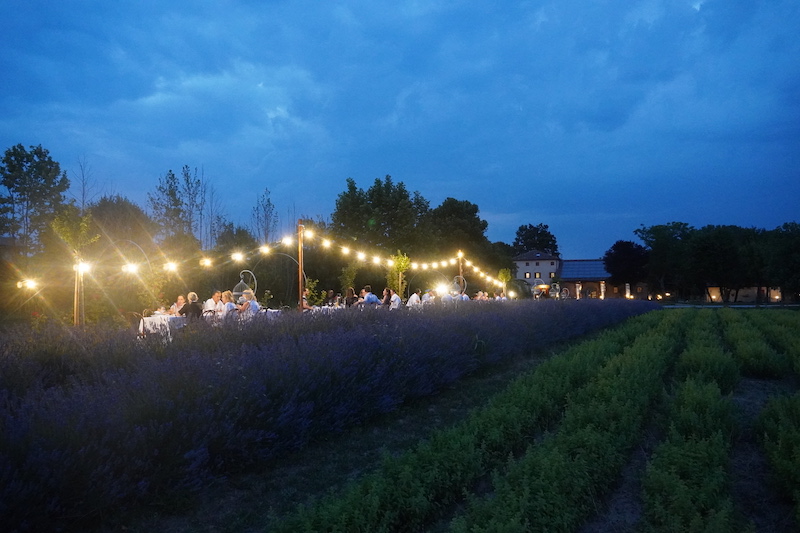 Cena Sotto Le Stelle Casa Tormene