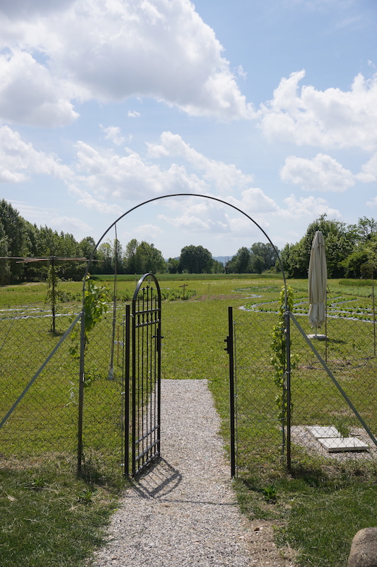 Parco Dei Fiori Di Casa Tormene00566