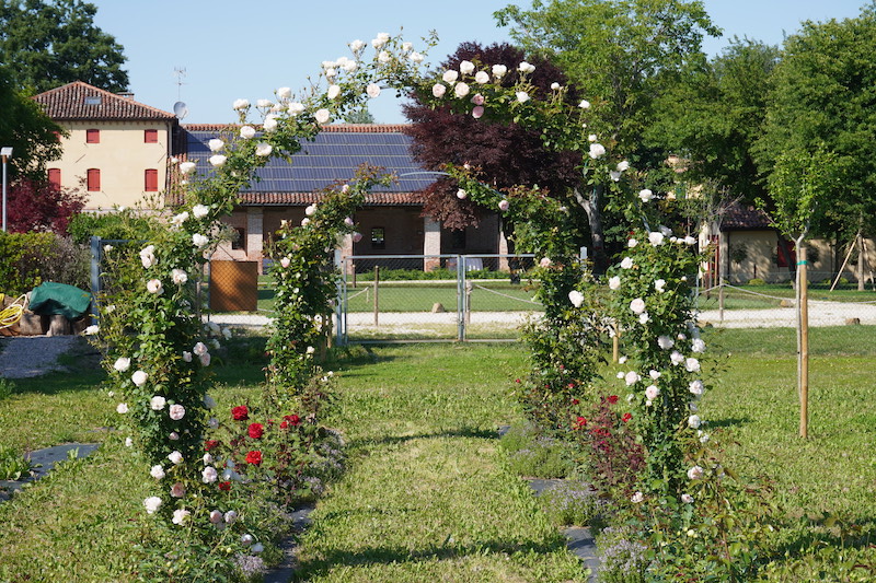 Parco Dei Fiori Di Casa Tormene00767