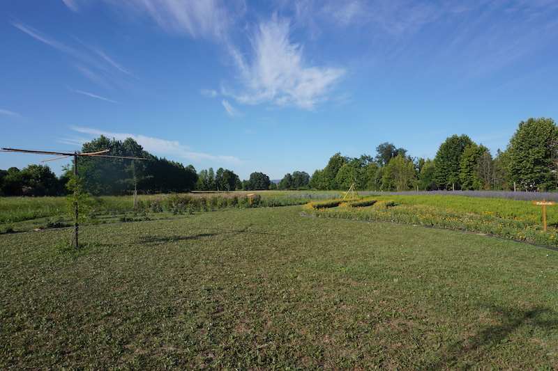 Parco Dei Fiori Di Casa Tormene01507